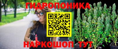 метадон Гусев